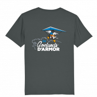 Tee shirt delta 1