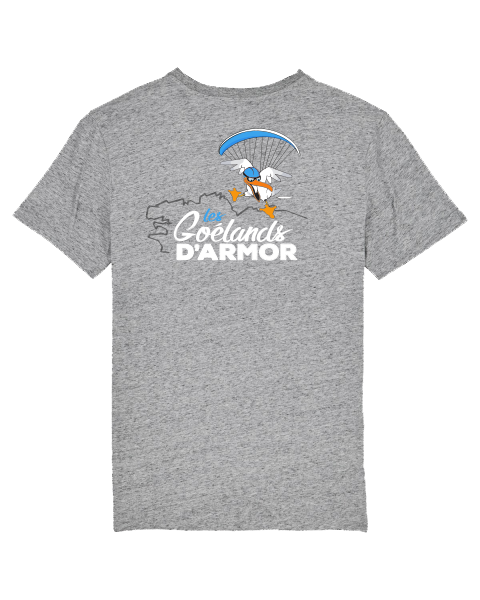 tshirt gris
